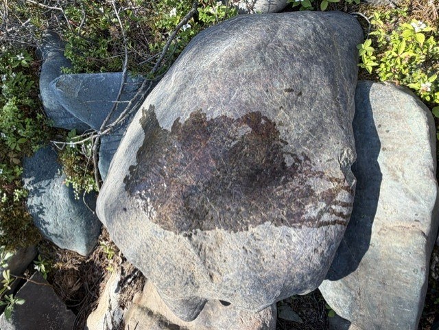 A boulder showing a natural iron-oxide weathering pattern across its surface.