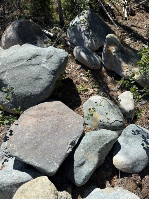 Several boulders among trees at the property, showing scale and natural setting.